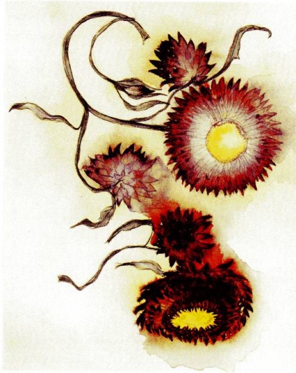 Letter from a client