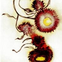 Letter from a client